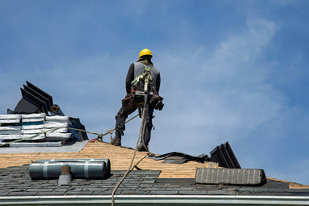 Professional Roofing technician working in Alleman, IA